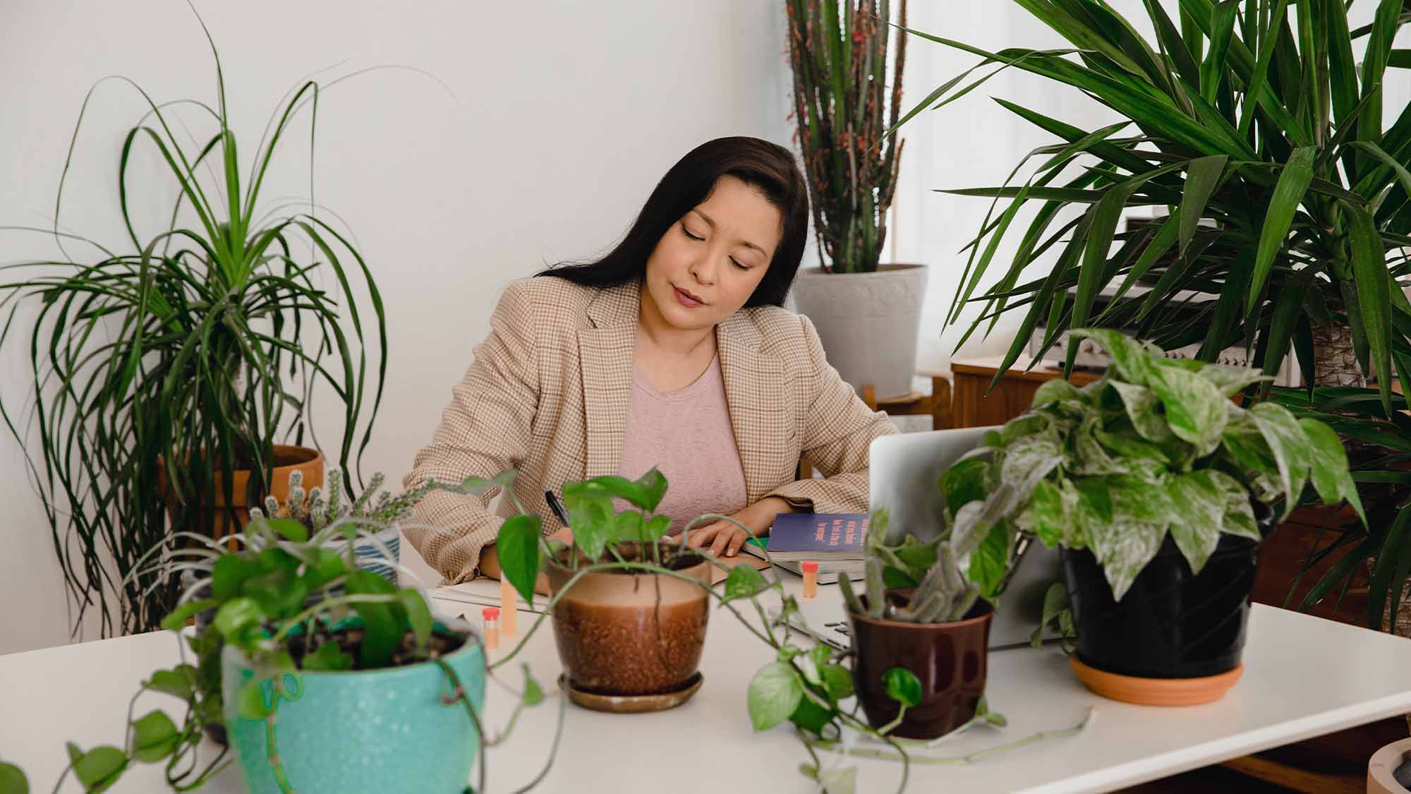 a business woman sitting at a table with potted plants
